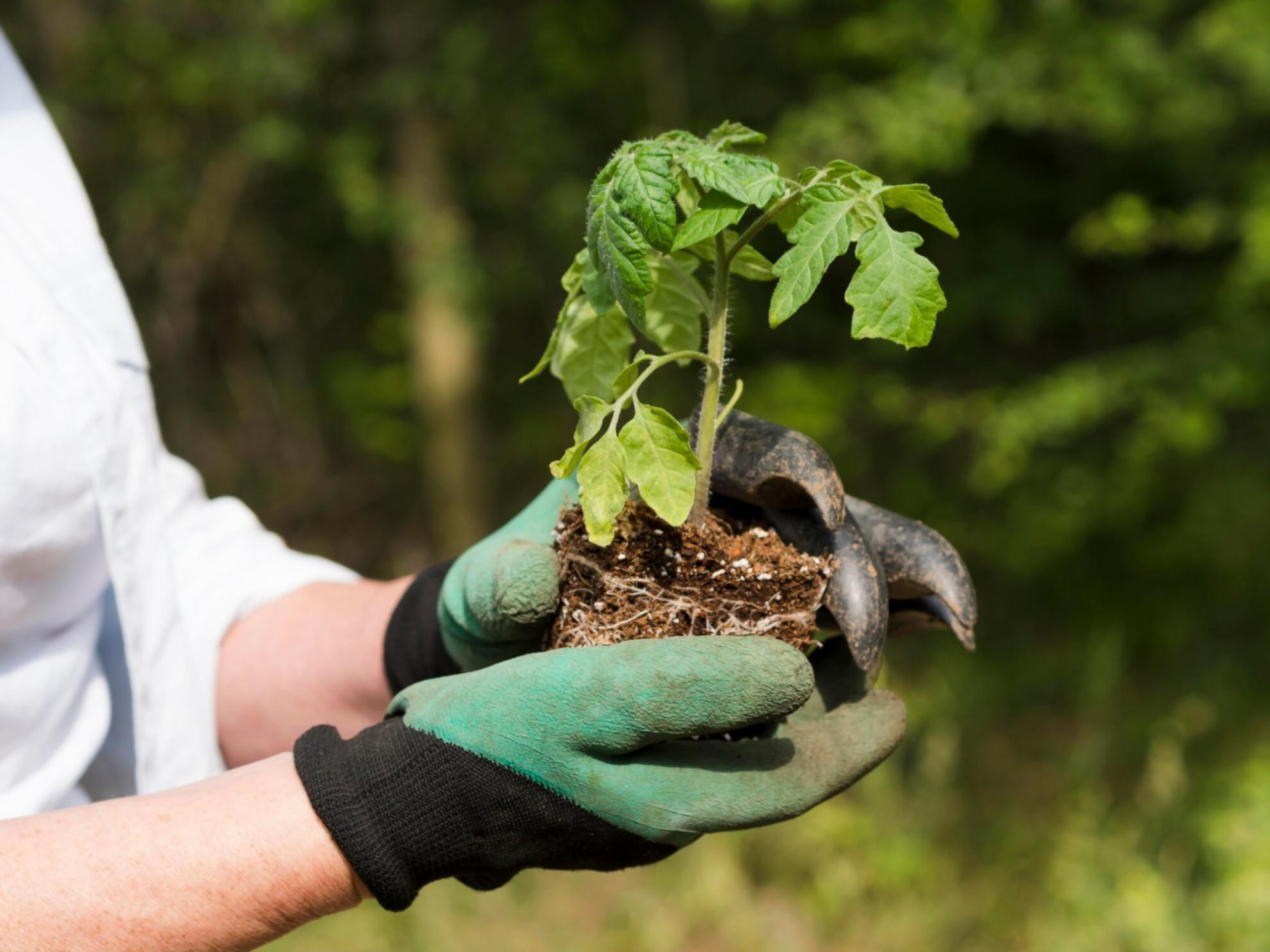 Eco-Industrial Parks: What Government Reports Leave Out