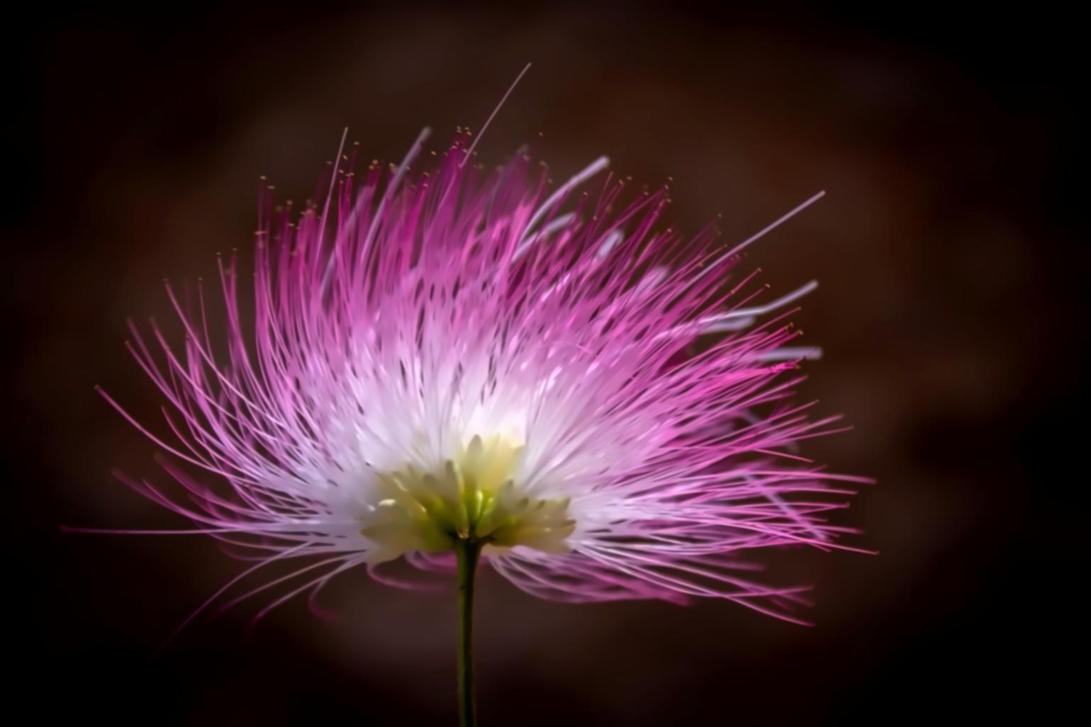 Kalundborg Symbiosis: What Actually Happens When Factories Share Waste